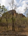 0921-1534 NT Kakadu (9212856)